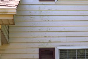 Should You Repair or Replace Your Siding Before Selling Your House?